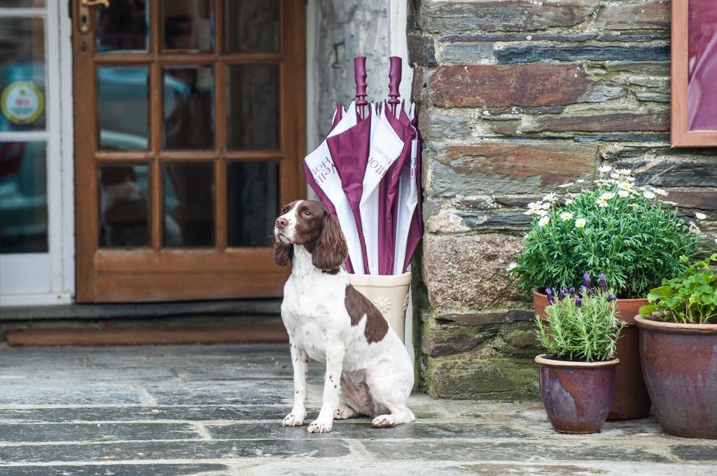 The Wellington Hotel Boscastle